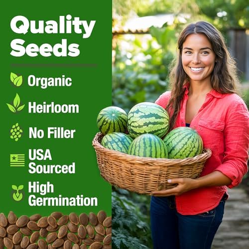 HOME GROWN Organic Crimson Sweet Watermelon, 15+ Seeds, Citrullus lanatus - Image 2