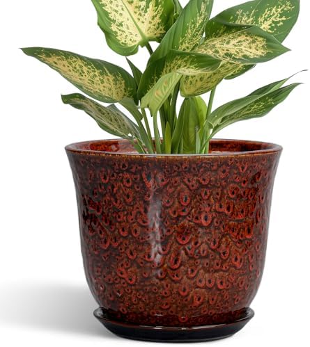 Ceramic Plant Pots - 5.6 Inch Plant Pot Indoor Outdoor, Small Planter with Drainage Hole and Saucer, Round Planter, Orchid Succulent Pots, Garden Room Decor, Gardening Gifts for Women, Red by SUNPOTFOR