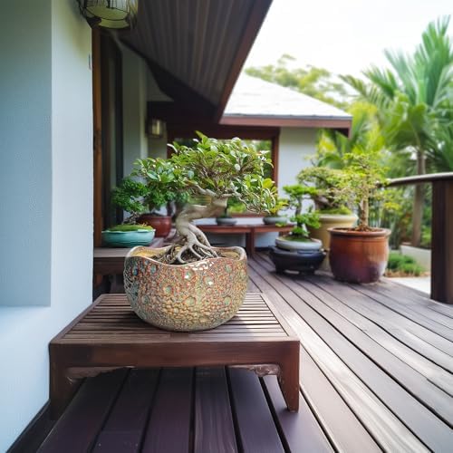10 Inch Plant Pot - Ceramic Planter with Drainage Hole and Plug, Unique Round Planters for Indoor Outdoor Plants, Decorative Planters, Home Decor, Gardening Gifts for Women, Speckled-Brown - Image 3