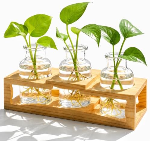 Eorbow Plant Propagation Station, Desktop Plant Terrarium with Wood Stand, Retro Propagation Vases Glass Planters for Indoor, Hydroponic Plant Propagating Jars for Home Office Decor, Plant Lover Gifts by Eorbow