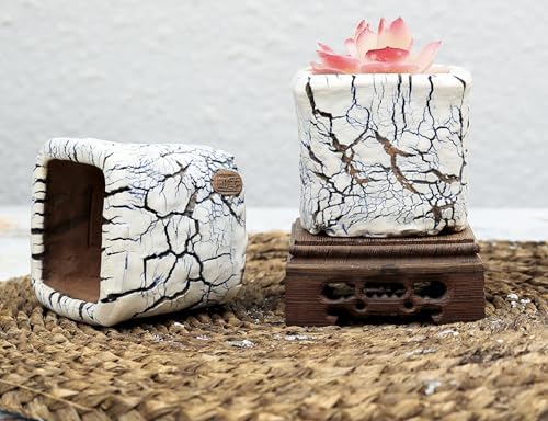 Ceramic Planter Pots w/Drainage, 3 Inch Set of 2, Indoor Outdoor Home Patio Garden Plants Flower Succulent, Crackle-Texture Square - Image 3