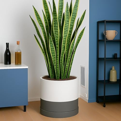 D'vine Dev 14 Inch Ceramic Planter Pot, White/Grey, 94-O-G-6 - Image 5