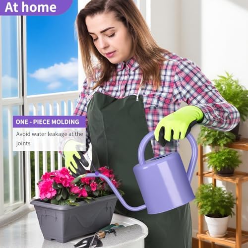 Watering Can, Stainless Steel Watering Can for Indoor & Outdoor Plants, 1L/35oz Long Spout Water Can with Handle, Rust-Proof Plant Watering Pot for House Plants, Garden Flowers - Image 6