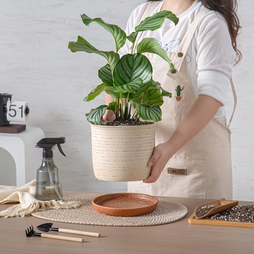 8 Inch Ceramic Plant Pot with Drainage Hole & Separate Saucer - Image 2
