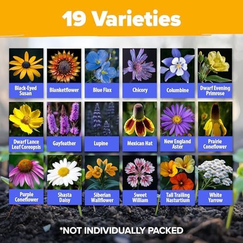 HOME GROWN 19 Wildflower Variety Mix 63,200+ Flower Seeds 4 oz - Image 7