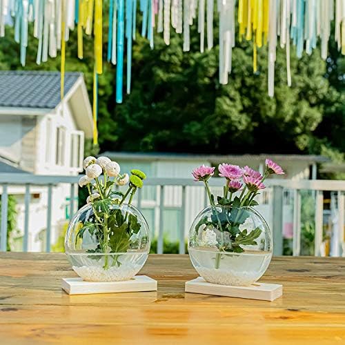 Kingbuy Round Glass Desktop Planter with Wooden Stand - Propagation Vase for Hydroponic Plants, Spider Plants, Pothos in Home Office Decor, 2-Pack, Beige - Image 5