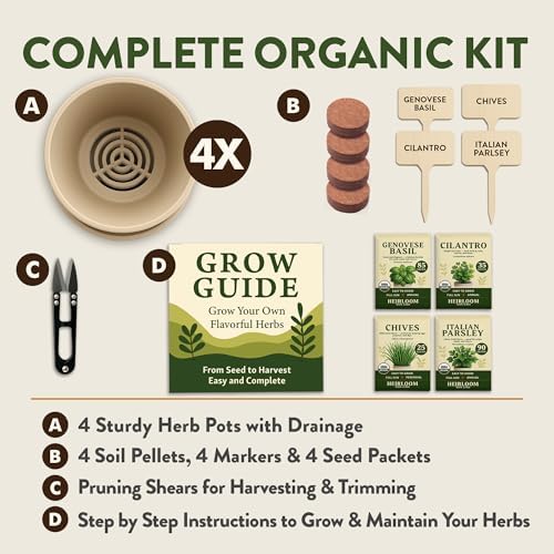 HOME GROWN Organic 4 Herb Indoor Garden Kit - Ideal Christmas Gift Set - Image 2