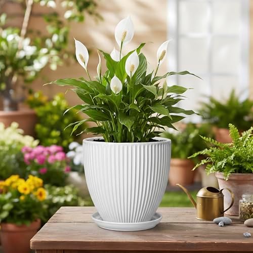 Ceramic Pots for Plants, 6 Inch Plant Pot with Drainage Hole and Saucer, Round Ceramic Flower Pots for Indoor Plants, Modern Small Succulent Planter, Room Home Decor, Plant Lover Gifts, White - Image 4