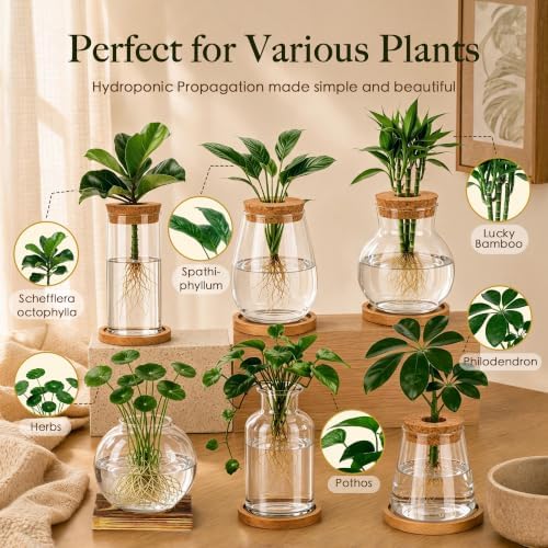 6 Pcs Plant Propagation Station Set, Glass Propagation Vases for Plants with Wooden Lids & Bamboo Stands, Hydroponic Vase Jars for Plant Cuttings, Terrarium Planters for Desk, Home Office Decor - Image 4