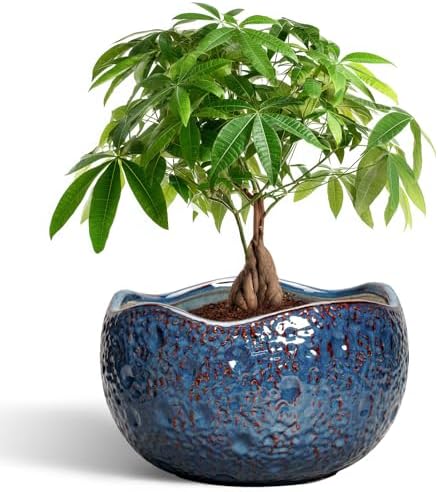 10 Inch Plant Pot - Ceramic Planter for Indoor Outdoor, Round Bonsai Pots, Decorative Flower Pots with Drainage Hole, Modern Unique Planters, House Decor, Home Gifts, Retro Blue by Thirtypot