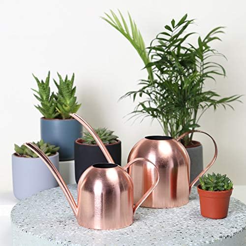 Watering Can for Indoor Plants, 30oz Long Spout Stainless Steel - Image 3