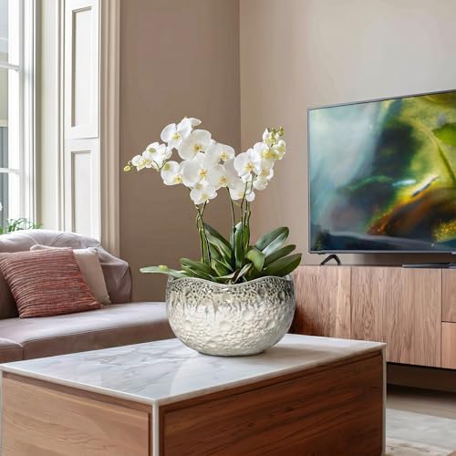 10 Inch Plant Pot, Ceramic Pots for Plants, Beige-Grey - Image 4