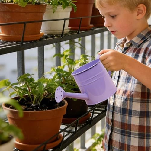 Small Watering Can, 1L Metal Flower Garden Watering Can, Gardening Tool Accessories for Outdoor Indoor Plants Lawn (Purple) - Image 2