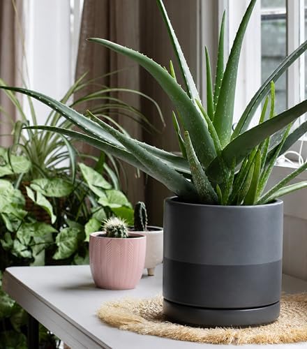 D'vine Dev 8 Inch Ceramic Planter Pot, Slate, 94-O-D-5 - Image 2