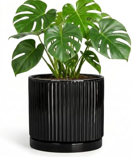 8 Inch Planter, Ceramic Pots for Plants, Round Plant Pot, Black by Unknown