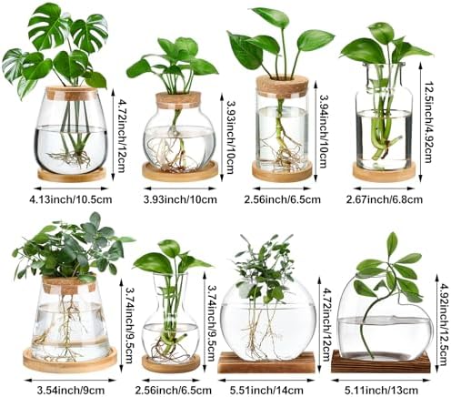Honeydak 8 Pcs Plants Propagation Stations Desktop Glass Propagation Vases - Image 6