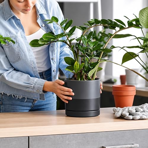 D'vine Dev 6.5 Inch Ceramic Planter Pot, Slate, 94-O-C-5 - Image 5
