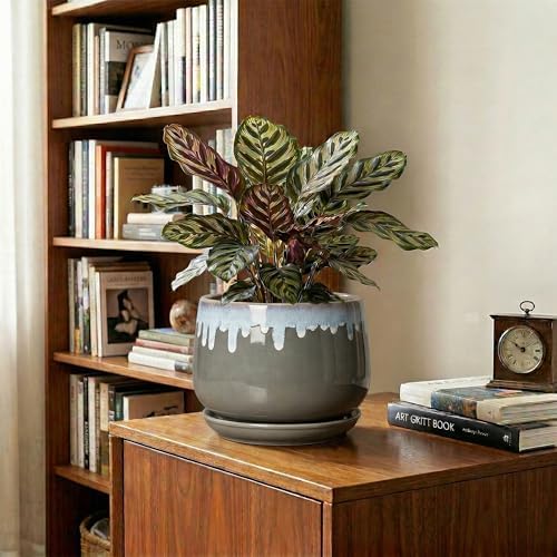 Ceramic Planter, 7 Inch Flower Pots for Indoor Plants, Grey-Blue - Image 5