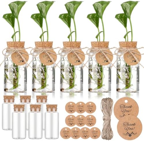 Baderke 12 Pack 3.54'' Plastic Plant Propagation Stations with Hole Lid by Baderke