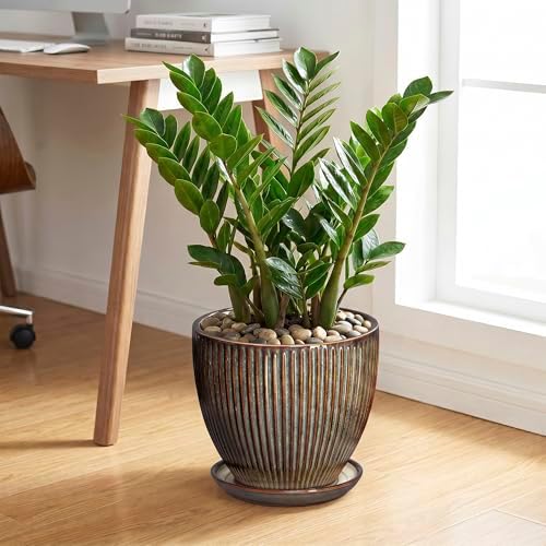 Ceramic Pots for Plants, 10 Inch Planters for Indoor Plants, Decorative Planter with Drainage Hole and Saucer, Round Indoor Plant Pots, Modern Planter, House Decor, Women Men Gifts, Retro Brown - Image 3