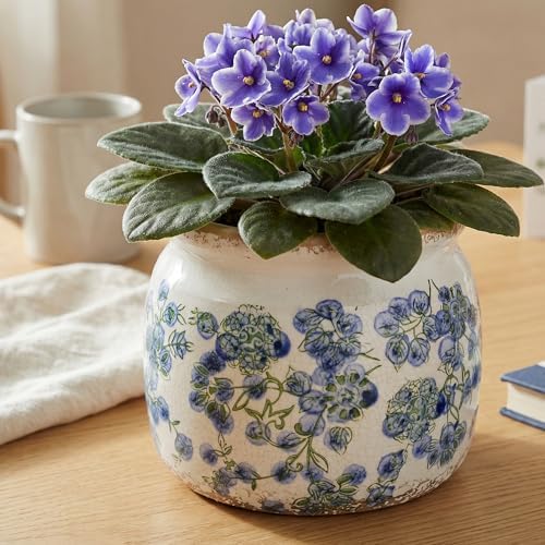 Vintage Cottage Ceramic Planters, French Flower Pot & Vase with Drainage - Image 6