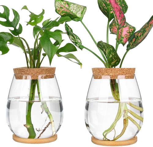 Plant Propagation Station,2 Pcs Glass Vases with Wooden Stand & Lid by ONEPENG