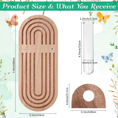 Beeveer 4 Sets Hanging Plant Propagation Stations Walnut Wood Wall Mounted Test Tube Vase Rustic Decorative Glass Planter Holder Gift for Women Plant Lover Hydroponic Flowers Home and Office Decor - Image 2