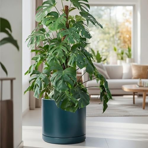 D'vine Dev 14 Inch Ceramic Planter Pot, Teal, 94-O-G-9 - Image 5