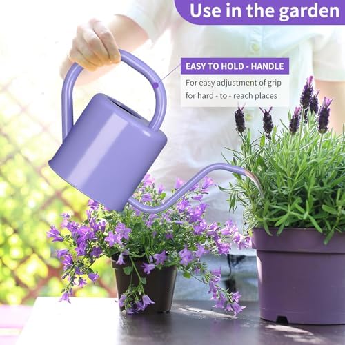 Watering Can, Stainless Steel Watering Can for Indoor & Outdoor Plants, 1L/35oz Long Spout Water Can with Handle, Rust-Proof Plant Watering Pot for House Plants, Garden Flowers - Image 5