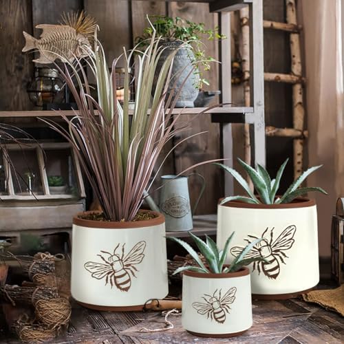 Terracotta Pots, 8+6+4 Inch Plant Pots, 3 Pcs with Drainage Holes - Image 6