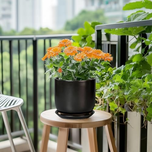 Ceramic Planter 7 Inch - Cylinder Round Modern Indoor Plant Pot for Plants with Drainage Hole and Saucer, Room Home Patio Office Patio Decor, Black - Image 5