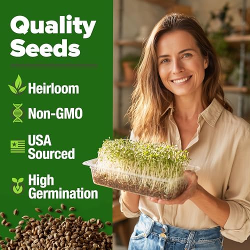 HOME GROWN Alfalfa Sprout Seeds, 8 oz Bulk Pack - Image 2