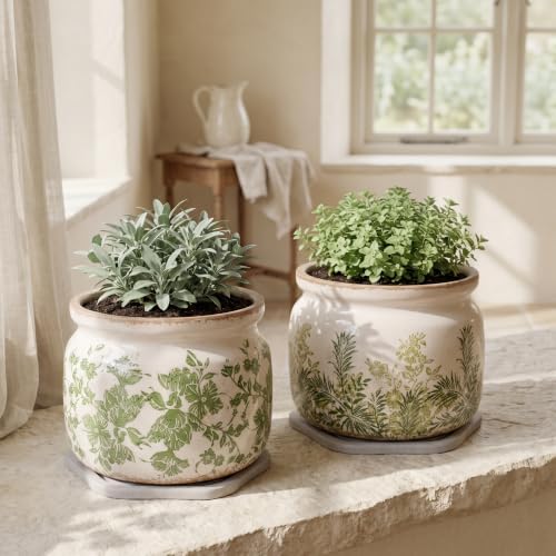 Cottage Ceramic Flower Pots with Decorative Saucer, Plant Lover Gifts - Image 2