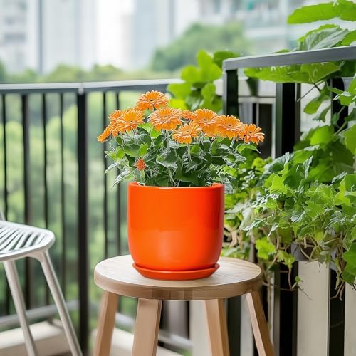 7 Inch Plant Pot - Ceramic Planter with Drainage Hole and Saucer, Modern Round Ceramic Flower Pot for Indoor Outdoor Plants, Plant Lover Gifts, Home Garden Office Decor, Orange - Image 5