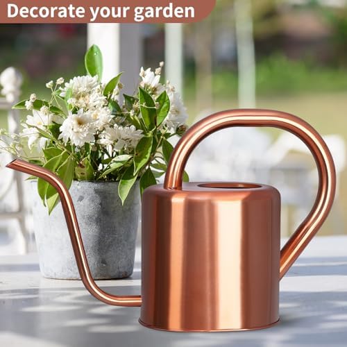 Watering Can, Stainless Steel Watering Can for Indoor & Outdoor Plants, 1L/35oz Long Spout Water Can with Handle, Rust-Proof Plant Watering Pot for House Plants, Garden Flowers - Image 4