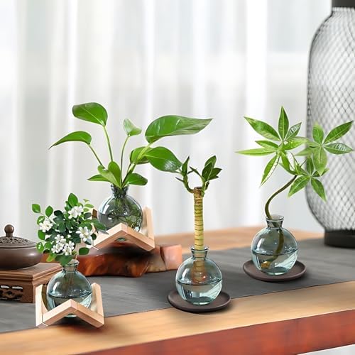 Cute Plant Propagation Station Glass Bulb Water Vases Green Office Decor - Image 6