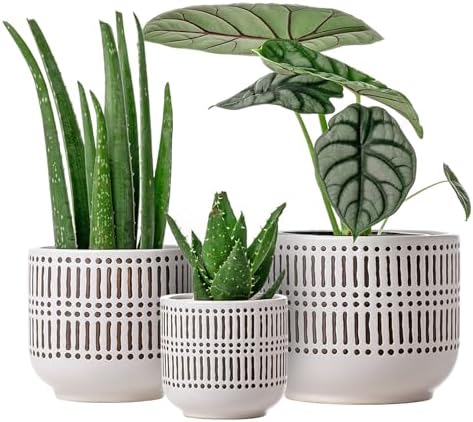 Docrin 3-Pack Ceramic Plant pots Set - 6.5"+5.3"+4" Dual-Tone Flower Pots with Drainage Holes, Modern Indoor Outdoor Planters for Succulents/Herbs/Large Plants, Home Office (Brownish Black & White) by DOCRIN