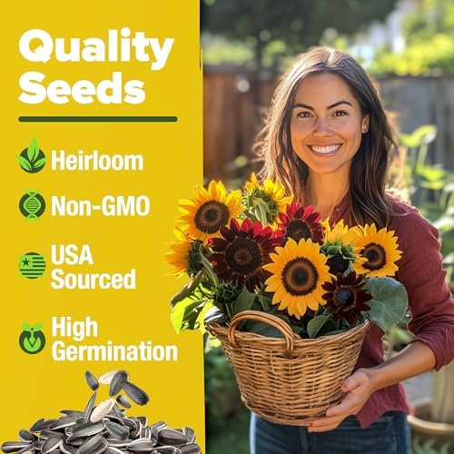 HOME GROWN Sunflower Mix Seeds, 8 Variety, 1,000+ Seeds - Image 3
