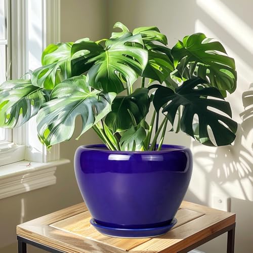 Ceramicfor Ceramic Planter 10 Inch, Indoor Plant Pot for Plants, Royal Blue - Image 5