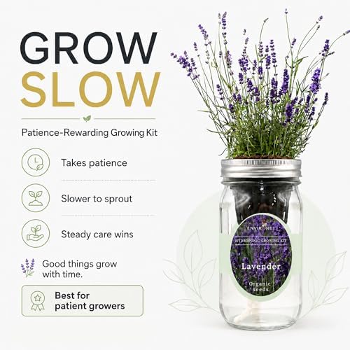 Hydroponic Herb Growing Kit, Self-Watering Mason Jar Herb Garden Starter Kit Indoor, Windowsill Herbs Garden, Grow Your Own Herbs from Organic Seeds (Lavender) - Image 4
