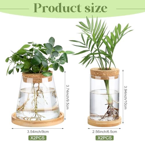 Layhit 4 Pcs Plants Propagation Stations vases Glass Planters with Wooden Lid and Bamboo Stand for Hydroponic Plants Gardening Gifts for Women Mom Home Office Tabletop Decoration(Stylish Style) - Image 3