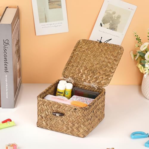 Hipiwe Wicker Shelf Basket Bin with Lid X-small Square Seagrass Storage Box - Image 6