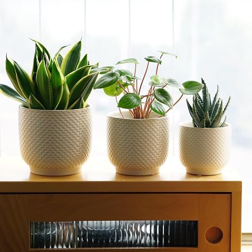 4 + 5 + 6 Inch Ceramic Pots for Indoor Plants, Succulents Plant Pots, Orchid Flower Pot with Drainage Hole, Modern Clay Stoneware Planters, Set of 3 (Milk White, 4+5+6 Inch) - Image 5