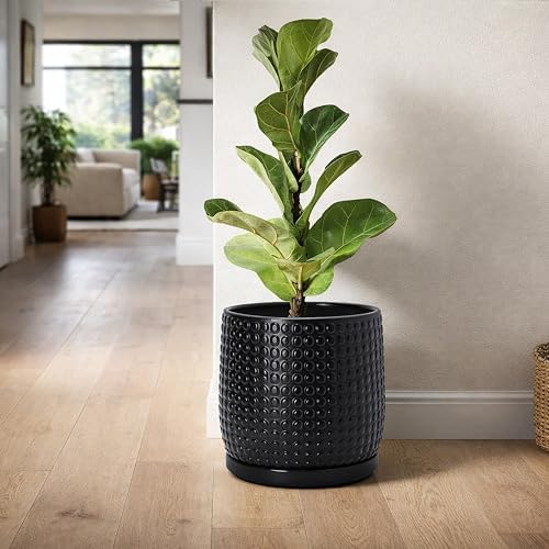 D'vine Dev Beaded Ceramic Pot with Saucer, 8 in, Ebony Matte, 27-C-Q-6 - Image 6