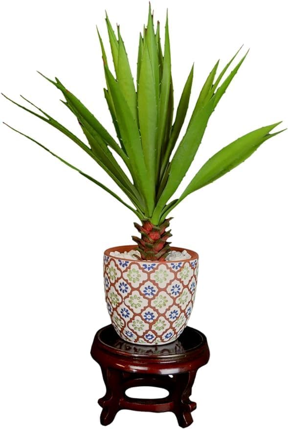 6" Wooden Rosewood Fishbowl Display Vase Stand Plant Pot Display Stand - Image 6