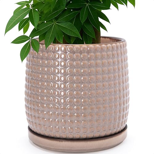 D'vine Dev Beaded Ceramic Pot with Saucer, 10 in, Light Brown, 27-C-P-4 by DvineDevPlanterPotsandStand