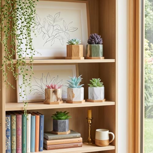 Ziliny Marbling Ceramic Flower Pot Succulent Small Plant Cactus Herbs Planter Ceramic Pot with Drainage Hole Matte Container(6 Pcs,Hexagon Style) - Image 7