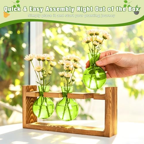 XXXFLOWER Plant Terrarium Jar Propagation Station Stand 3 Green Bulb Vases - Image 4