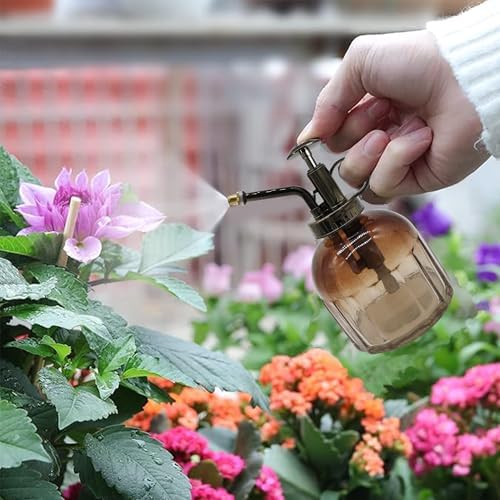 Glass Plant Mister Spray Bottle, 200ML Vintage Plant Spritzer, Succulent Watering Bottle Glass with Top Pump, Small Plants Sprayer Watering Can for Indoor Outdoor House(Light Brown) - Image 2