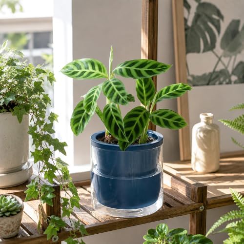 D'vine Dev Self-Watering Blue Terracotta Planter Pot, 6 in, 37-X-B-4 - Image 6